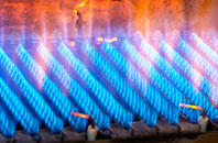Auchencar gas fired boilers